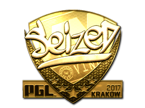 seized (Gold) | Boston 2018 image